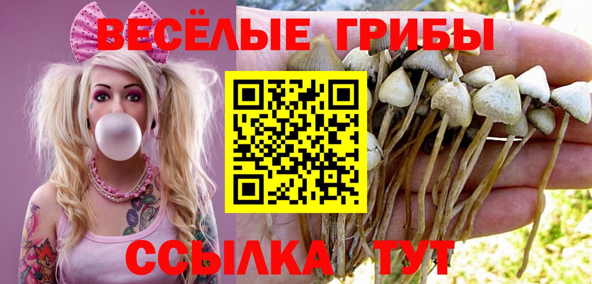 Псилоцибиновые грибы Magic Shrooms Мелеуз